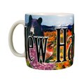 Americaware Americaware SMNWH01 New Hampshire 18 oz Full Color Relief Mug SMNWH01